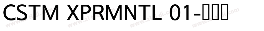 CSTM XPRMNTL 01字体转换